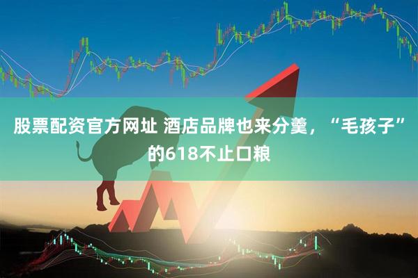 股票配资官方网址 酒店品牌也来分羹，“毛孩子”的618不止口粮